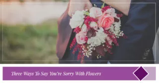 Three Ways To Say You’re Sorry With Flowers