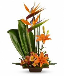 With tall bamboo and birds of paradise complemented by a stunning mix of tropical orange flowers and greenery in a graceful bamboo container, this bouquet is it.