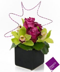 Stunning green cymbidium orchid blooms are featured in this desktop black ceramic cube with our signature Twilight roses to the cube. 