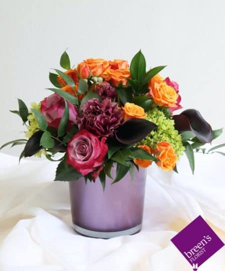Wonderful jewel tones shine in this beautiful low and stylized arrangement with roses, mini callas and more.